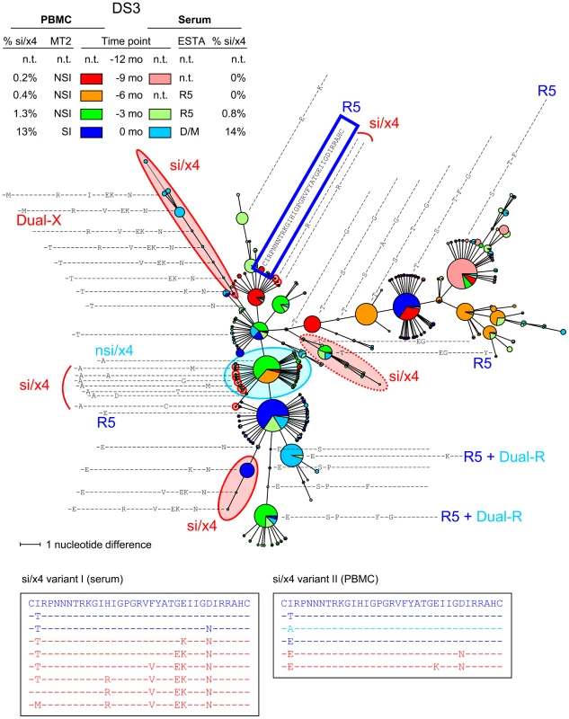 Multiple si/x4 variants emerge in subject DS3.