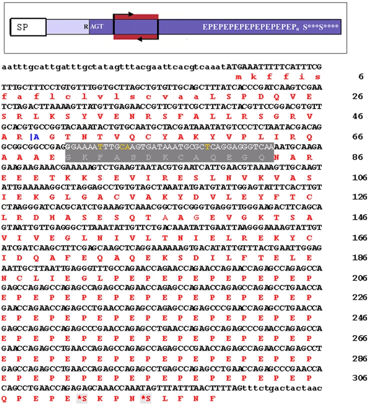 <i>G. m. morsitans</i> tsetse EP protein.