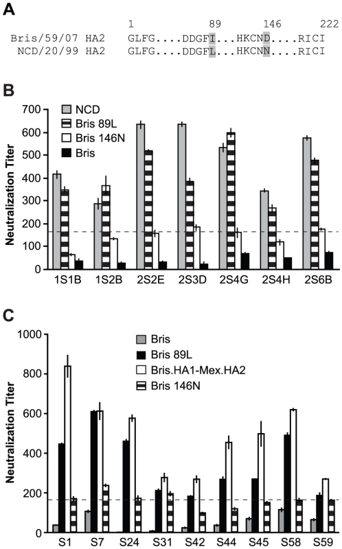 The amino acid at position 89 in HA2 influences neutralization to HA2.