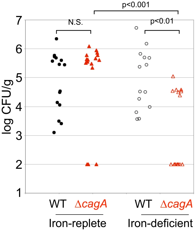 Host iron depletion decreases Δ<i>cagA</i> fitness <i>in vivo</i>.