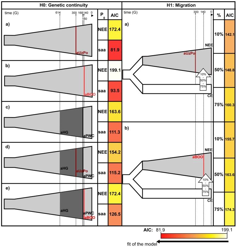 Graphical representation and Akaike Information Criterions of the demographic models compared by coalescent simulation analyses.