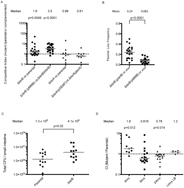 Mouse infections performed with ΔsRNA and complemented strains.