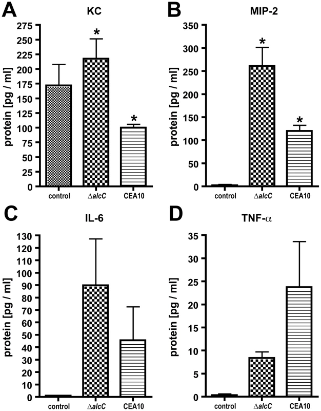 Cytokine production in response to <i>A. fumigatus</i> wild type and Δ<i>alcC</i> inoculation.