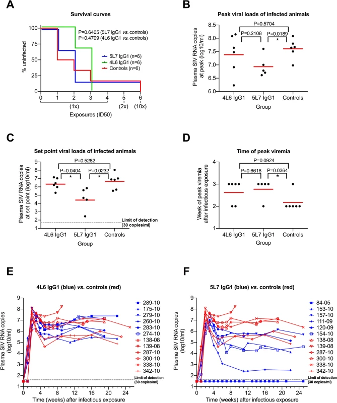 Repeated low-dose SIVmac239 challenge of AAV-immunized and control animals.