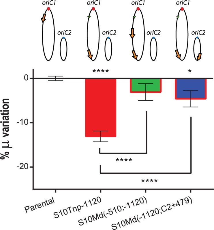 GR defect is consequence of gene dosage reduction.