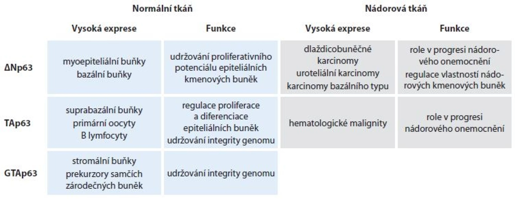 Exprese a funkce jednotlivých N-koncových variant p63 u normální a nádorové tkáně.