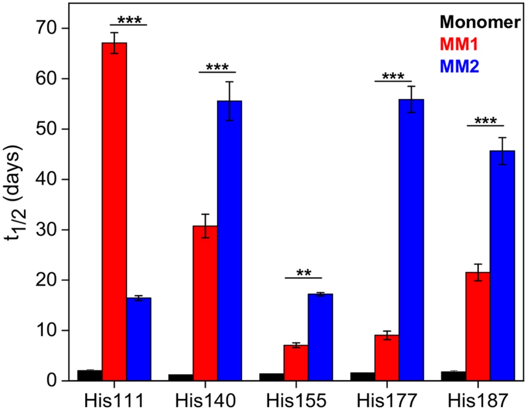 Histidine H/D exchange for monomeric PrP<sup>C</sup> (black), MM1 rPrP<sup>Sc</sup> (red) and MM2 rPrP<sup>Sc</sup> (blue).