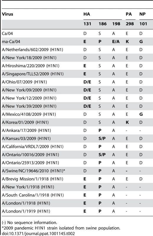 Comparison of amino acid differences between Ca/04 and ma-Ca/04 viruses and other H1N1 viruses.
