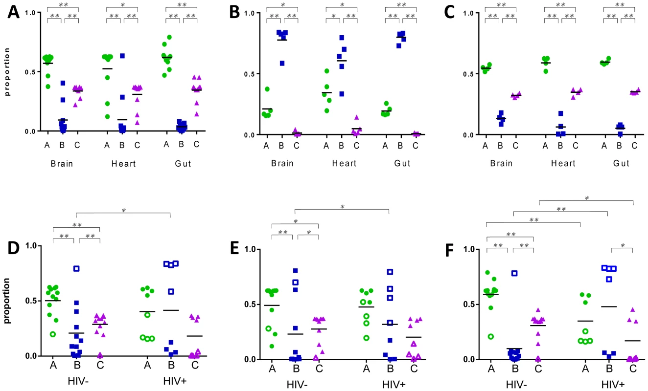 Expression of <i>var</i> gene groups in the organs of paediatric hosts.