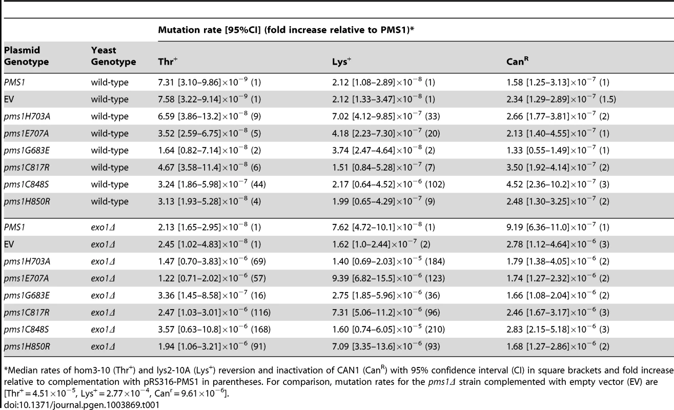 Mutation rates of <i>pms1</i> metal coordination mutants on a low-copy plasmid in wild-type and <i>exo1Δ</i> strains.