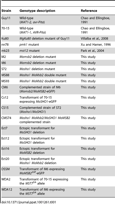 Wild-type and mutant strains of <i>Magnaporthe oryzae</i> used in this study.