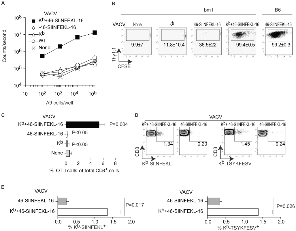 Direct presentation primes anti-VACV T<sub>CD8+</sub>.