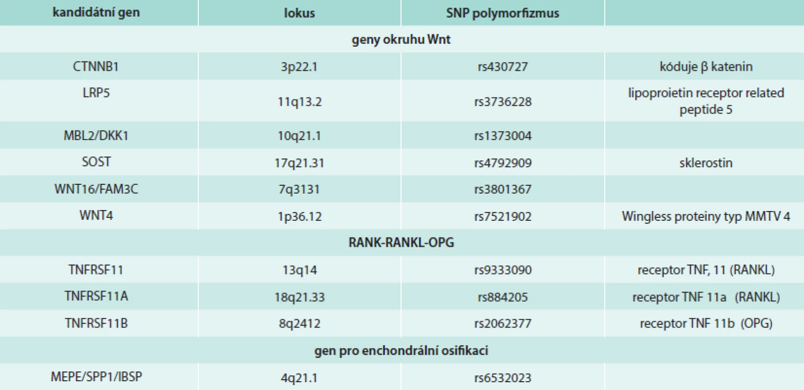 Výběr kandidátních genů asociovaných s kostní denzitou a s osteoporotickými frakturami.
Upraveno podle [30].