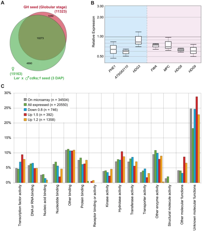 Analysis of <i>cdka;1</i> microarray profiles.