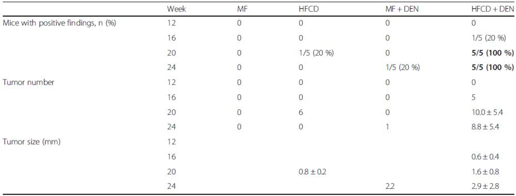 Summary of computed tomography findings, rate of positive findings, tumor number, and tumor size from 12 to 24 weeks