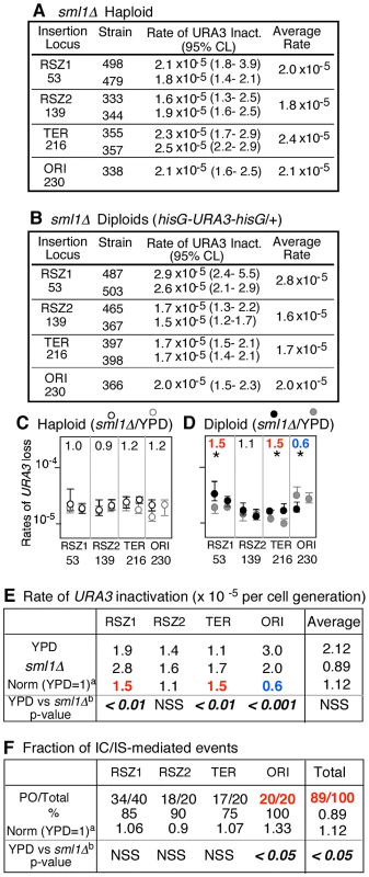 <i>sml1Δ</i> regulation of mitotic recombination.