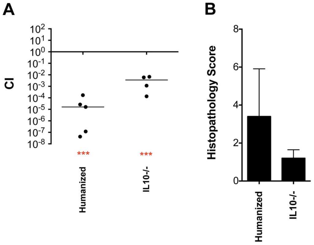 Phenotype of a <i>fraB1</i>::kan mutant in the cecum of “humanized” and IL10 knockout mice.