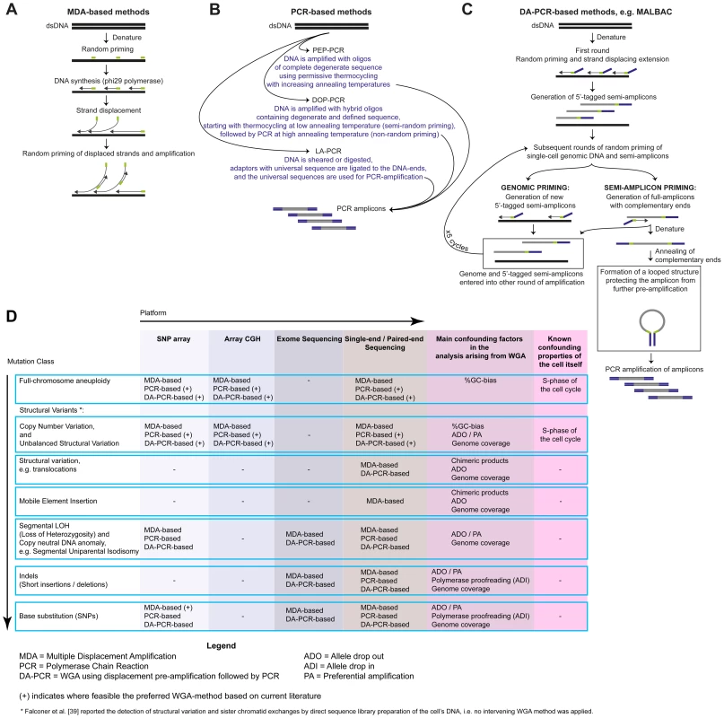 Overview of single-cell WGA approaches.