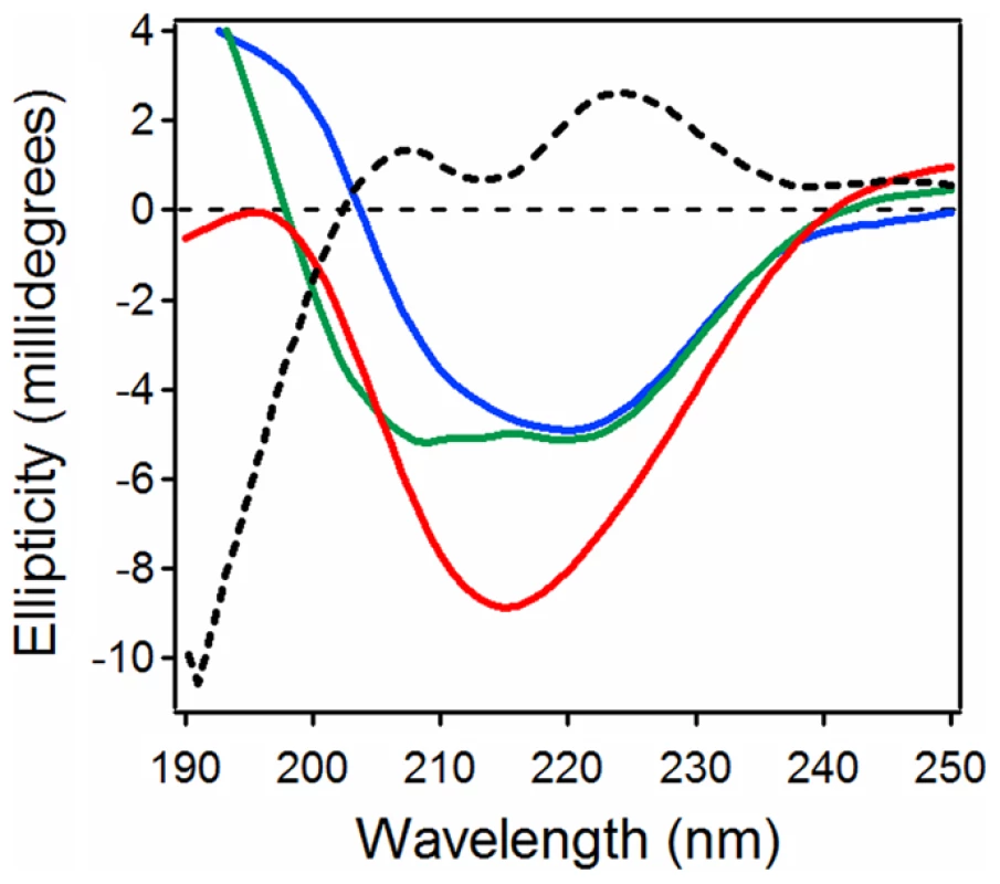 Loss of PDI structure in the presence of CTA1.