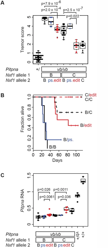 E610G variant accounts for <i>Modifier-of-vibrator</i> activity of <i>Nxf1</i>.