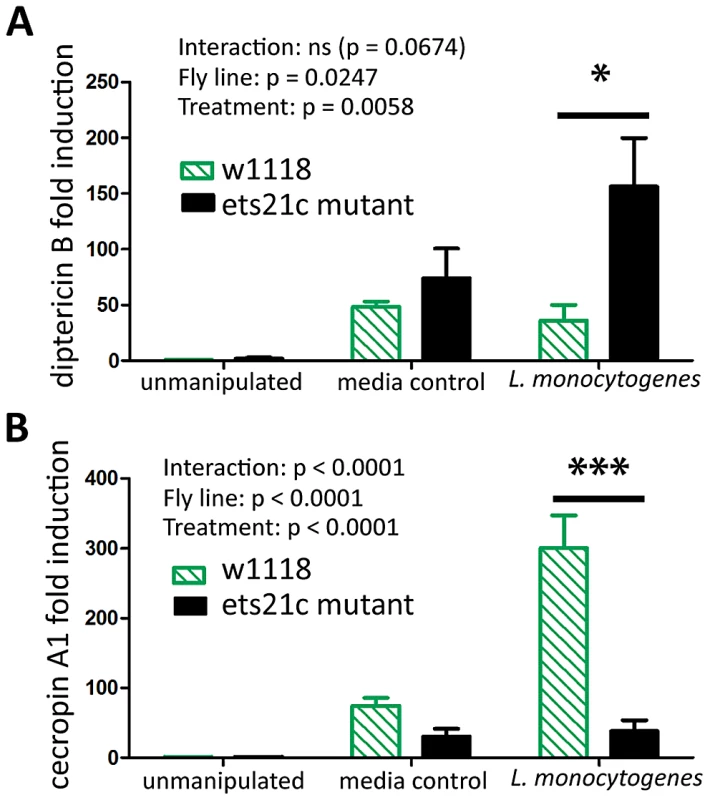 Ets21c has a minor affect on anti-microbial peptide expression similar to that of wntD.