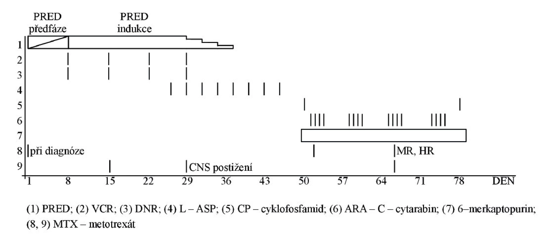 Zařazení PRED-předfáze do protokolární léčby ALL, upraveno podle protokolu ALL-BFM 86, Rhiem et al., 1987; MR: medium risk, HR: high risk).