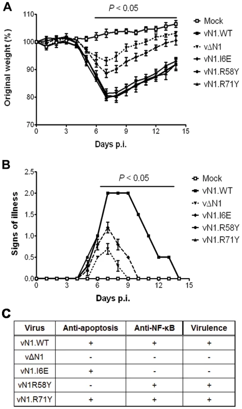 Intranasal inoculation with vN1.I6E and vΔN1, but not vN1.R58Y and vN1.R71Y, attenuates VACV infection.