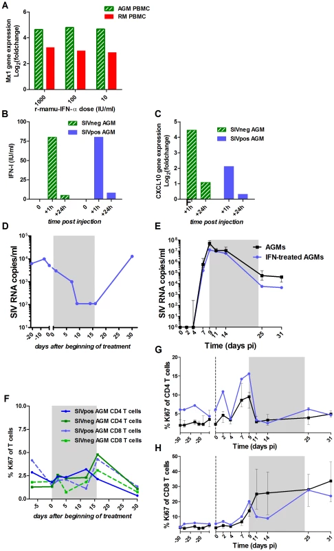 Evaluation of r-mamu-IFN-α efficacy in AGMs.