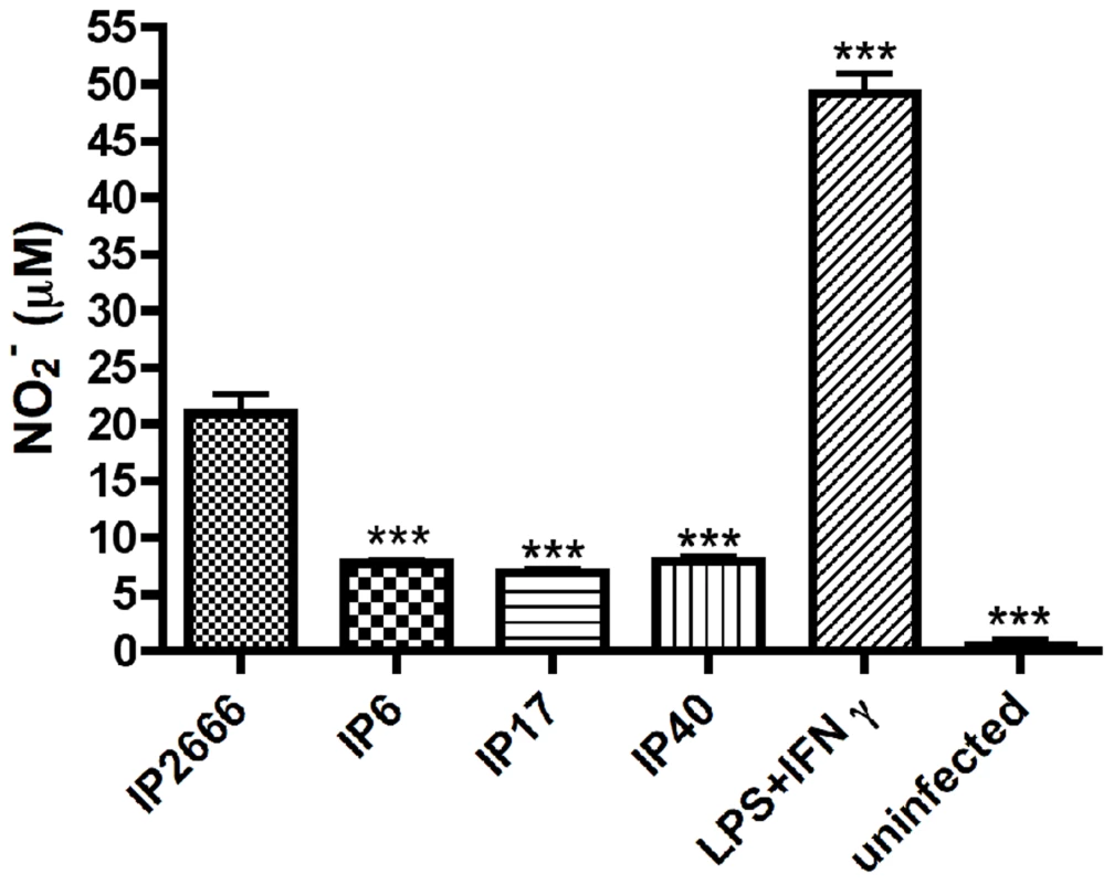 Measurement of NO production by macrophages infected with different <i>Y. pseudotuberculosis</i> strains.