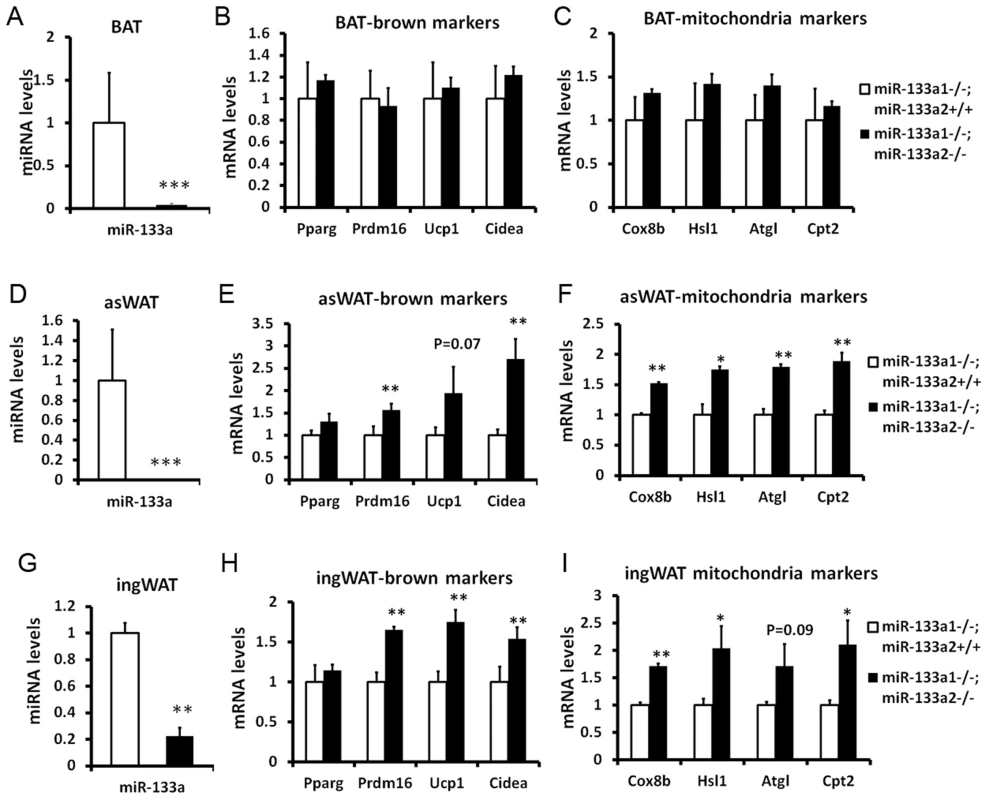 Genetic ablation of <i>miR-133a</i> promotes the browning and thermogenic gene program in SAT but not BAT.