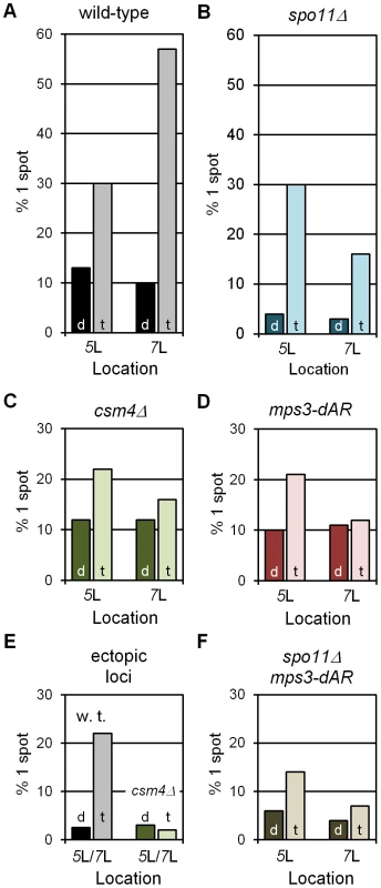 RPMs cause chromosome collisions coincident with pairing.