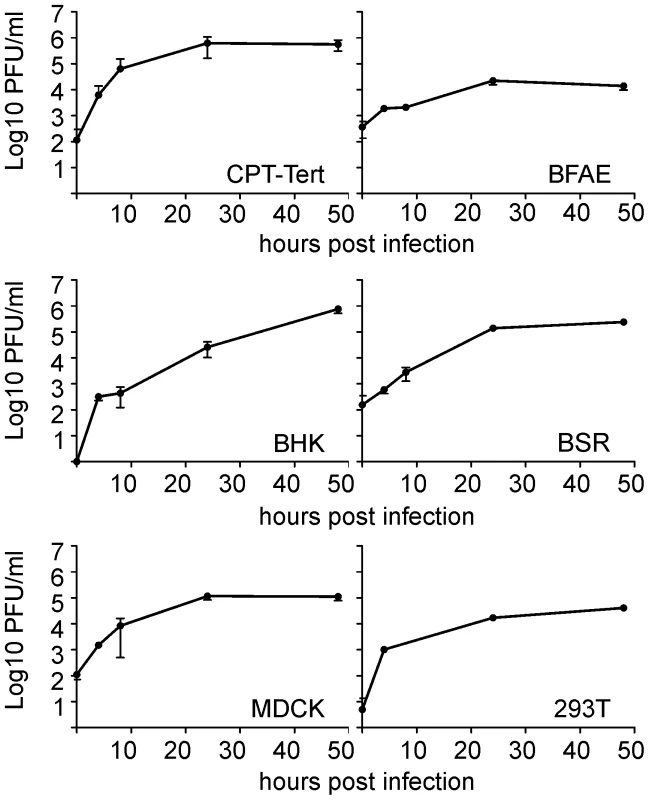 <i>In vitro g</i>rowth kinetics of SBV.