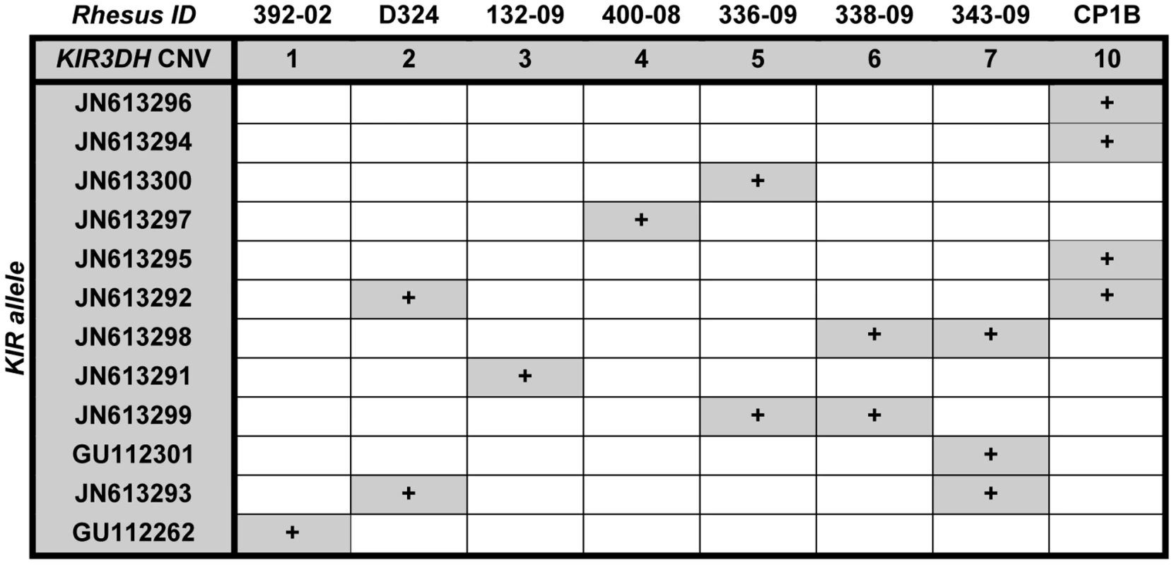 Expression of particular <i>KIR3DH</i> alleles is not associated with <i>KIR3DH</i> copy numbers.