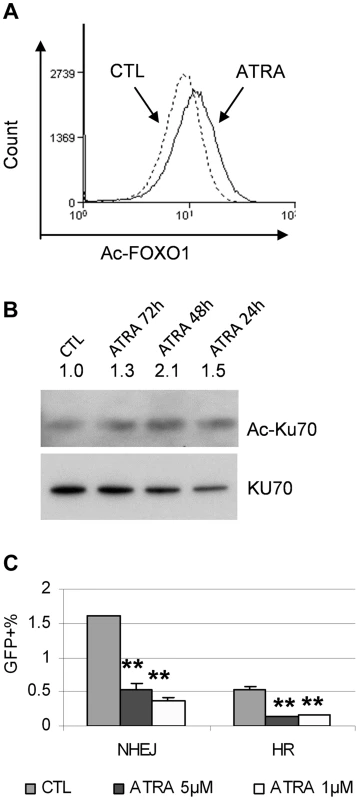 ATRA treatment affected SIRT1 functions.