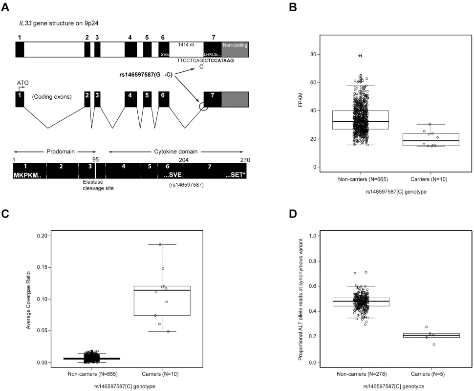 RNA analysis of <i>IL33</i> mRNA expression and carrier status of the splice acceptor variant rs146597587.