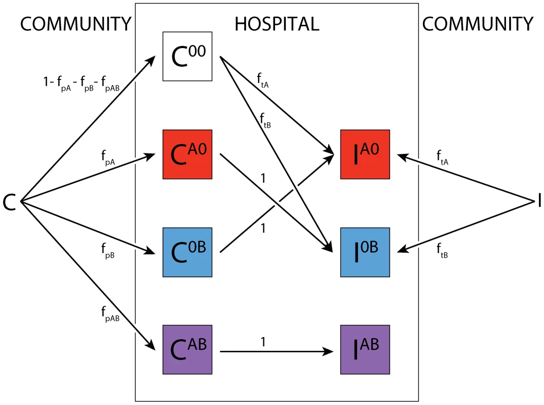 Treatment algorithm.