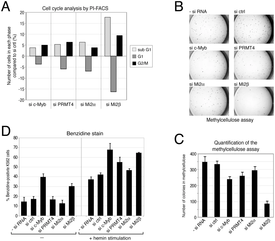 PRMT4 and Mi2 are important regulators of proliferation and differentiation function in human erythropoiesis.