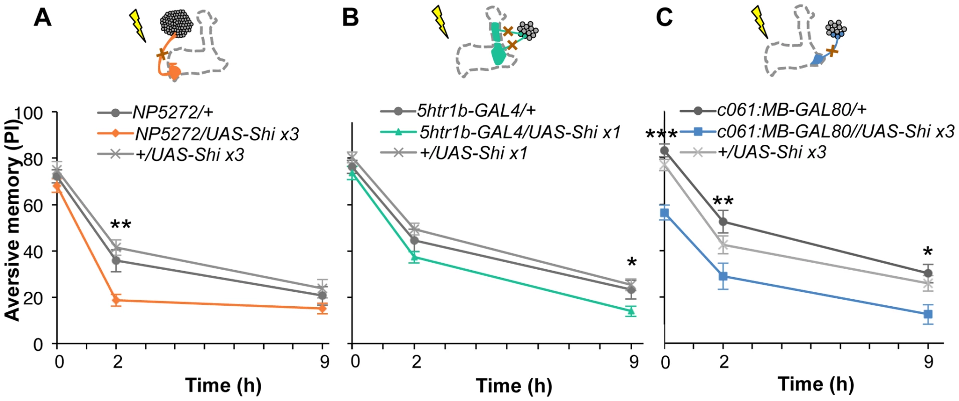Requirement of the identified dopamine neurons for shock reinforcement.