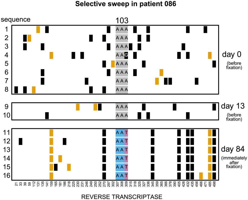 Putatively hard sweep in patient 086.
