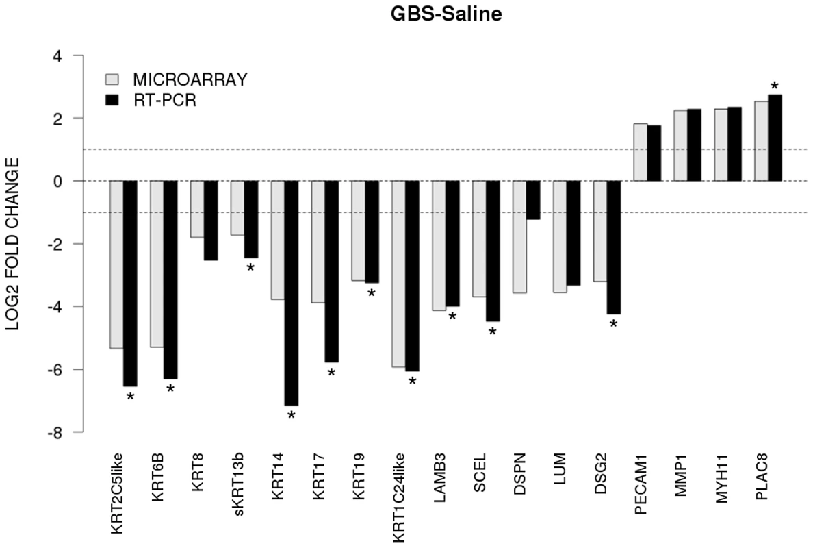 The x-axis represents individual genes and the y-axis fold-change in expression by microarray (gray bars) or qRT-PCR (black bars).