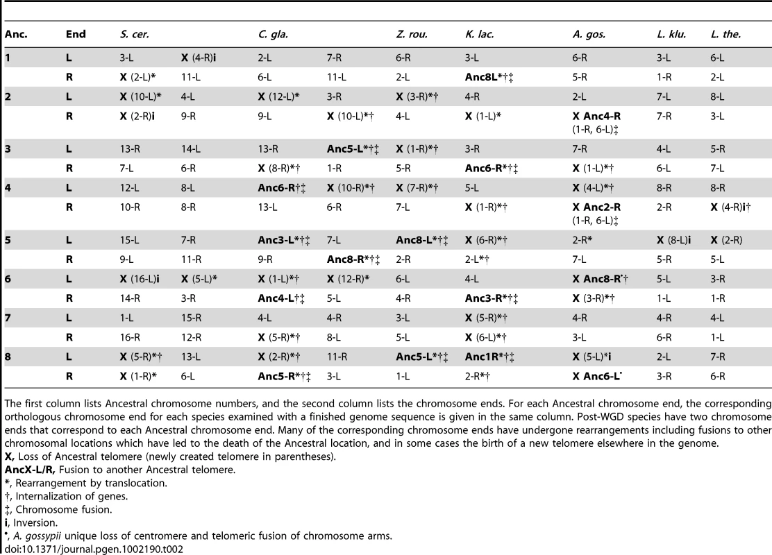 Mapping between Ancestral telomeres and telomeres in extant species with finished genome sequences.
