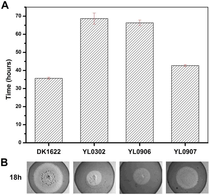 The predation of an <i>E. coli</i> mat by different strains.