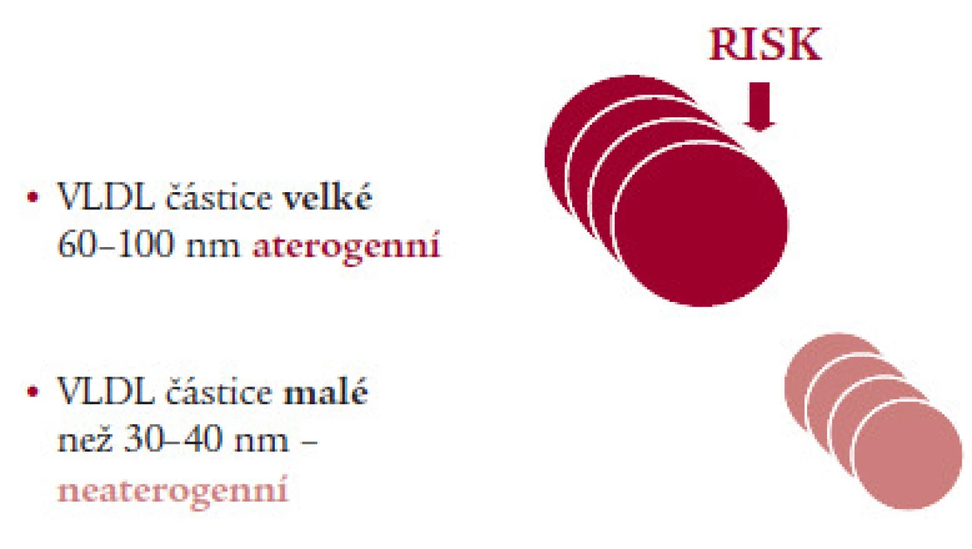 Vztah velikosti lipoproteinových částic k riziku – VLDL (NMR).