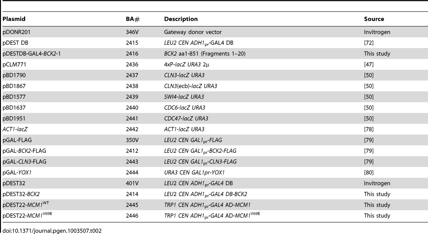 Plasmids used in this study.