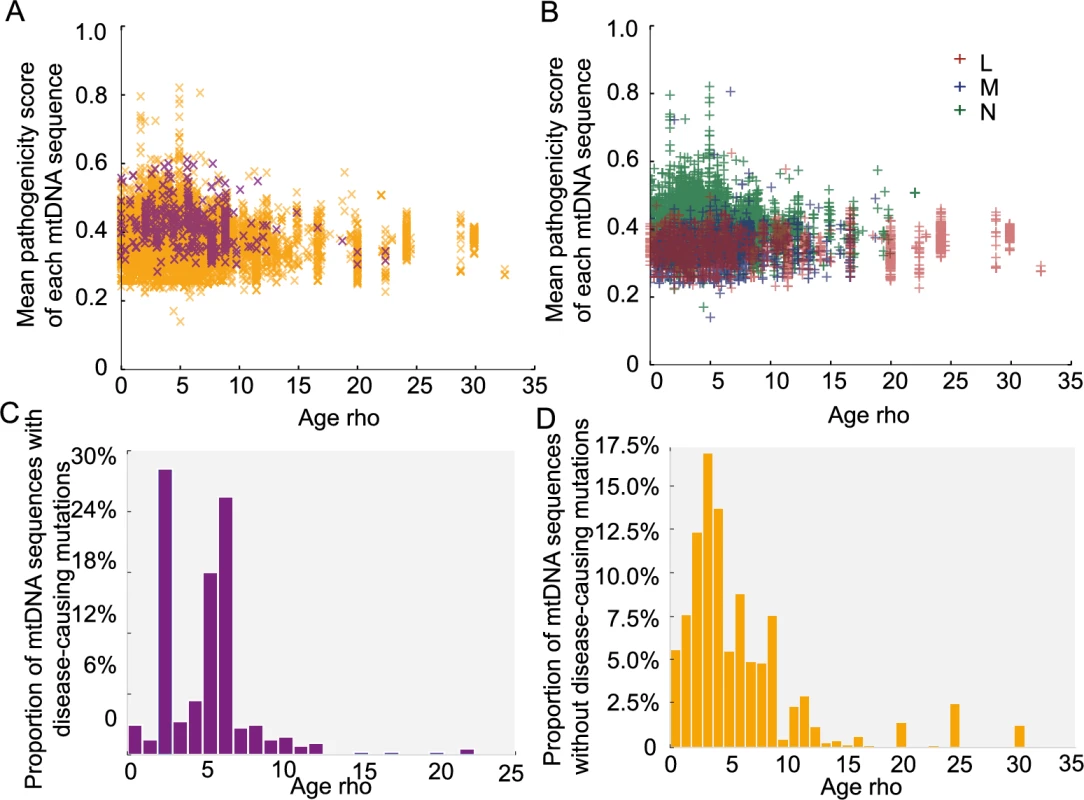Predicted age of each mtDNA sequence.