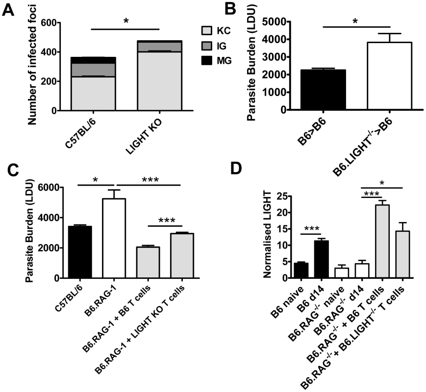 LIGHT from hematopoietic cells is required for efficient granuloma formation and control of <i>L. donovani</i> in the liver.