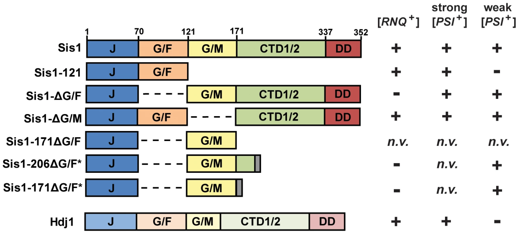 Constructs of Sis1 used in plasmid-shuffling experiments.