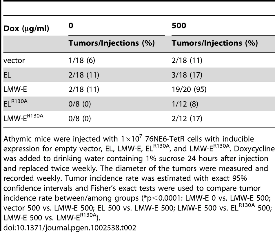 The tumorigenicity of LMW-E requires CDK2–associated kinase activity.