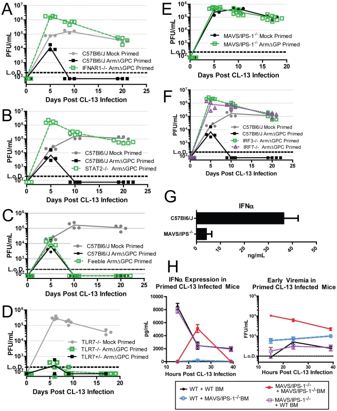 The role of IFN-I during a primed Cl13 infection.