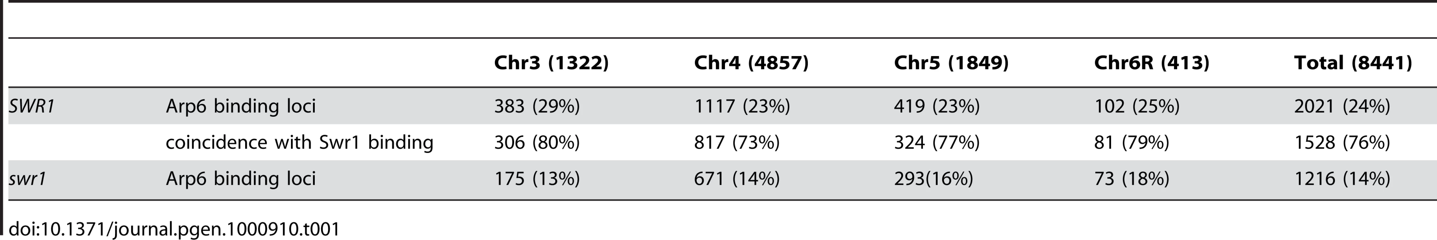 Correlation of localization of Arp6 and Swr1 on budding yeast chromosomes.
